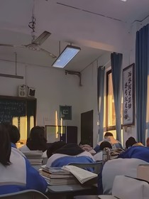 雾中行