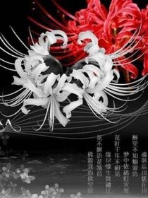 雙生花——不是深淵，是救贖