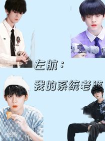 左航：我的系统老婆