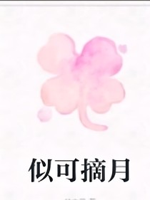 似可摘月