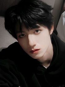 TF家族：合租室友全是a！
