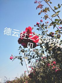 德云社之永不相见