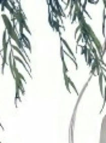 忘羡：早已不服当初