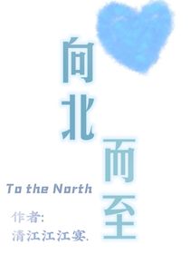 向北而至