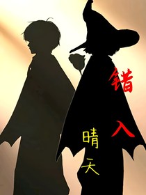 错入晴天