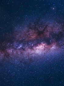 夜世族