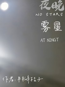 夜晚雾星