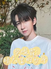 贺峻霖：晴天里的少年