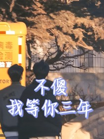 不傻会等你三年