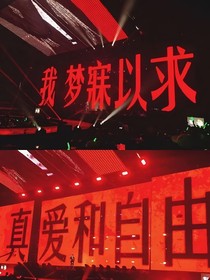和男配的恋爱日常