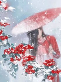 槿秀風(fēng)光