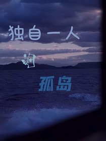 独自一人的孤岛