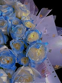 羽歆文案馆