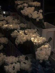 悲欢爱情