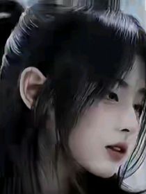 欣空航行