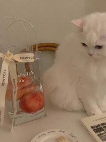 落叶繁枝