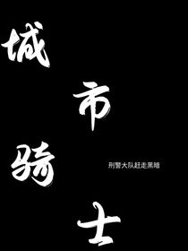 光之骑士