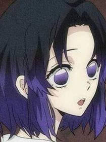同人类