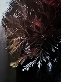 清可契