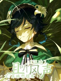 原神：且听风说