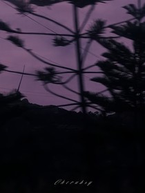 ENHYPEN：血色罪恶