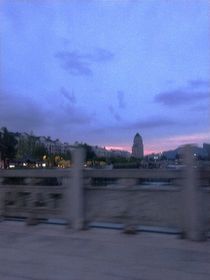 魇中生花