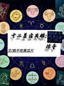 十二星宿英雄：掠奪