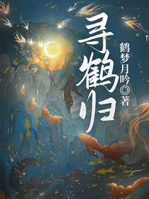 寻鹤归