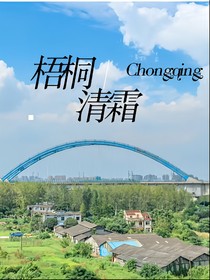 梧桐清霜
