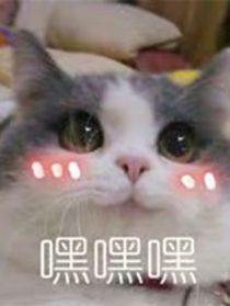 男友是只猫？？