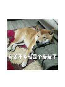 等我长大，好吗