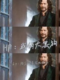 HP：我的大黑狗