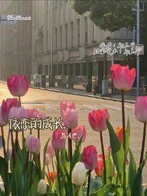 依恋的成长