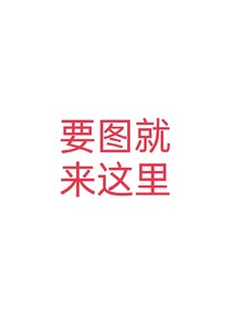 要图来这里（小说）