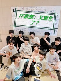 TF家族：又重生了？