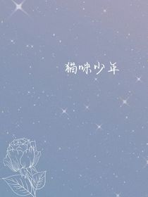 猫咪少年