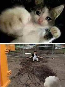 青梅暴打竹馬