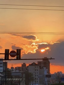 只想与你看朝阳