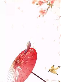 等花開，亦等君回來