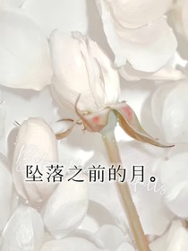 BTS：坠落之前的月
