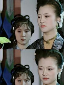 红楼梦同人文尤氏