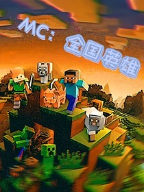 我的世界之国家英雄