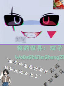 我的世界：雙子