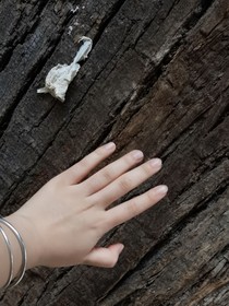 師尊，可不可以回頭看我一眼