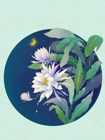 凹凸：不灭轮回-d746