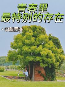 青春里最特別的存在