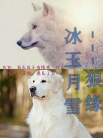 冰玉月雪——狼之戀-d252