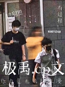 极禹cp文