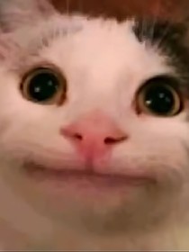 冤种随笔