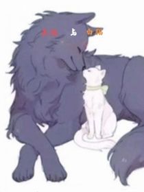 天狼與白貓